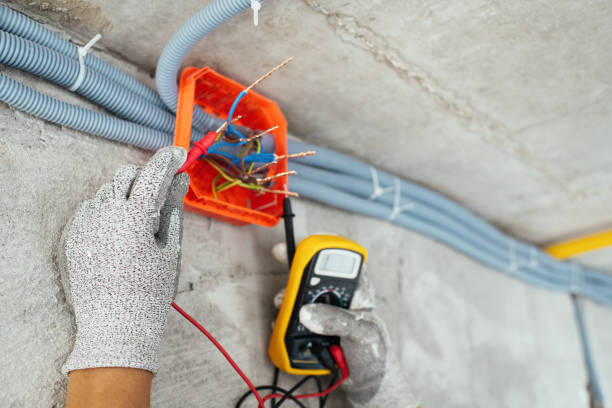 Best Ceiling Fan Installation Electrician  in Pine Level, NC